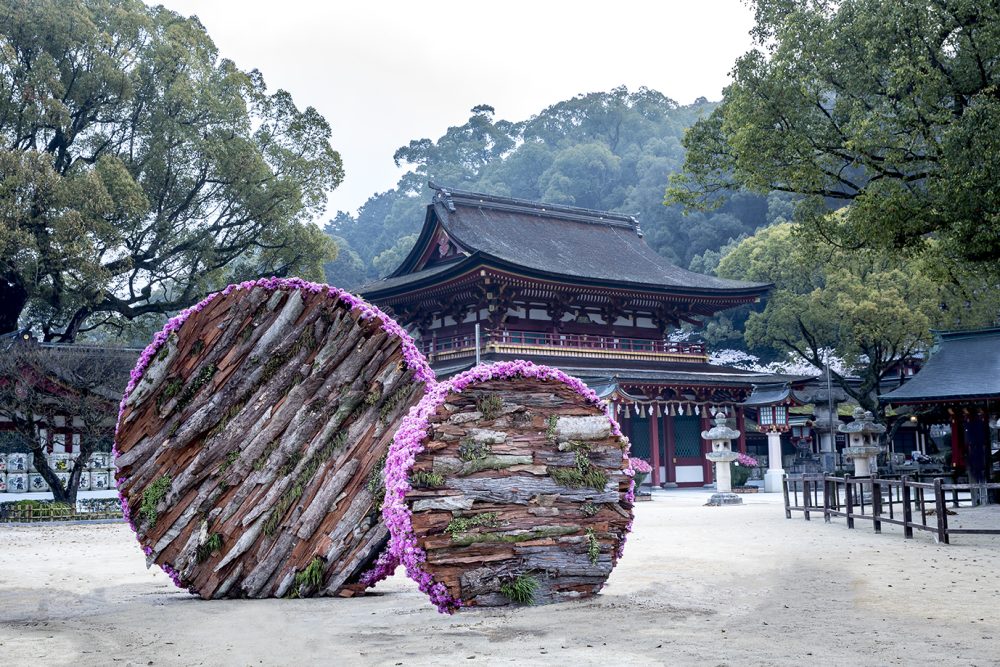 ニコライ・バーグマンが太宰府天満宮にて「THE FLOWER BOX EXHIBITION IN DAZAIFU」を開催 - RKBオンライン 1990円