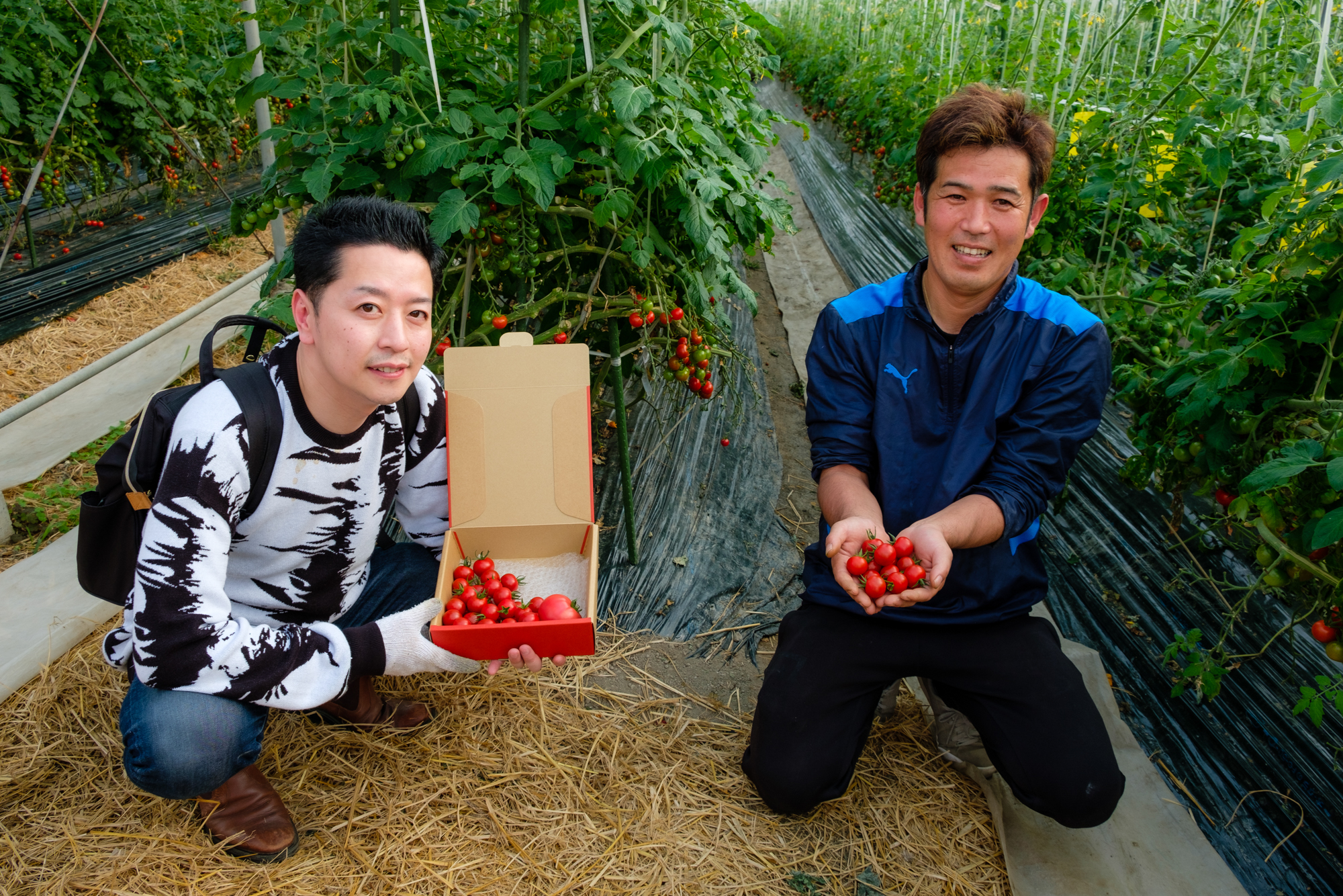 入手困難な奇跡のトマト「永尾産ちのド トマト」フェアを開催 | 福岡