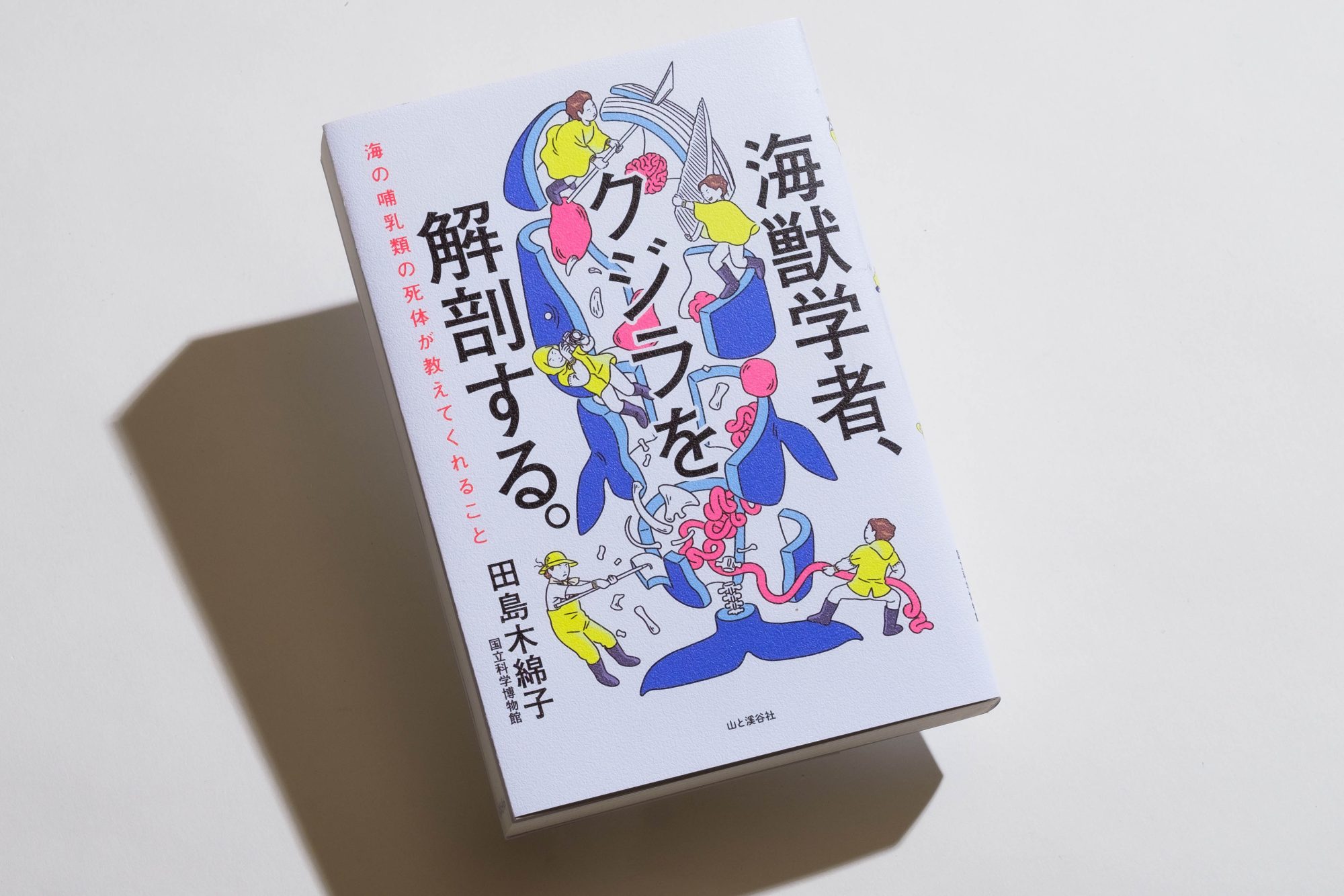 哺乳類である彼らはなぜ、陸を捨てて海を選んだのだろう|『海獣学者