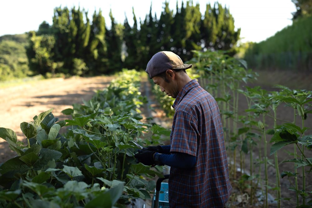 上野万太郎 IN THE FARM」浜野貴志