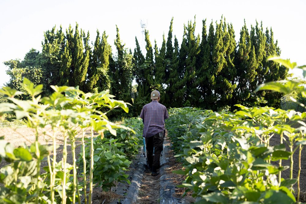 上野万太郎 IN THE FARM」浜野貴志