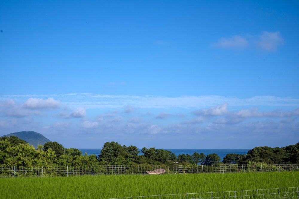 上野万太郎 IN THE FARM」浜野貴志